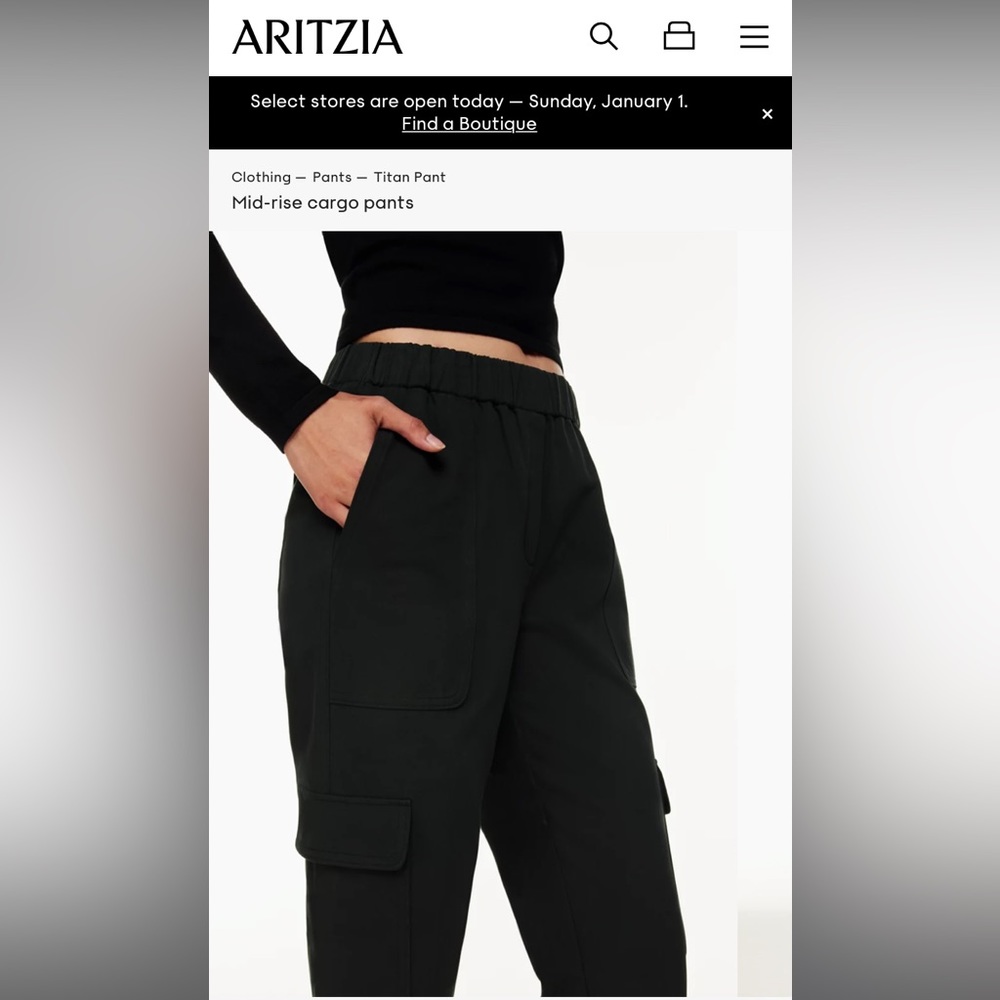 Aritzia Bavarian Titan cargo pant